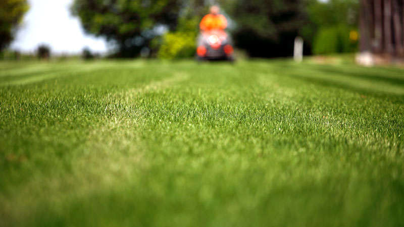Lawn Care Image