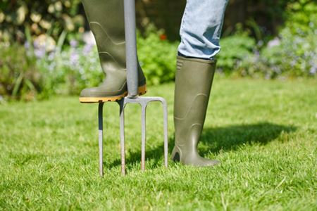 DIY vs. Expert Lawn Aeration: Which Should You Choose? Thumbnail