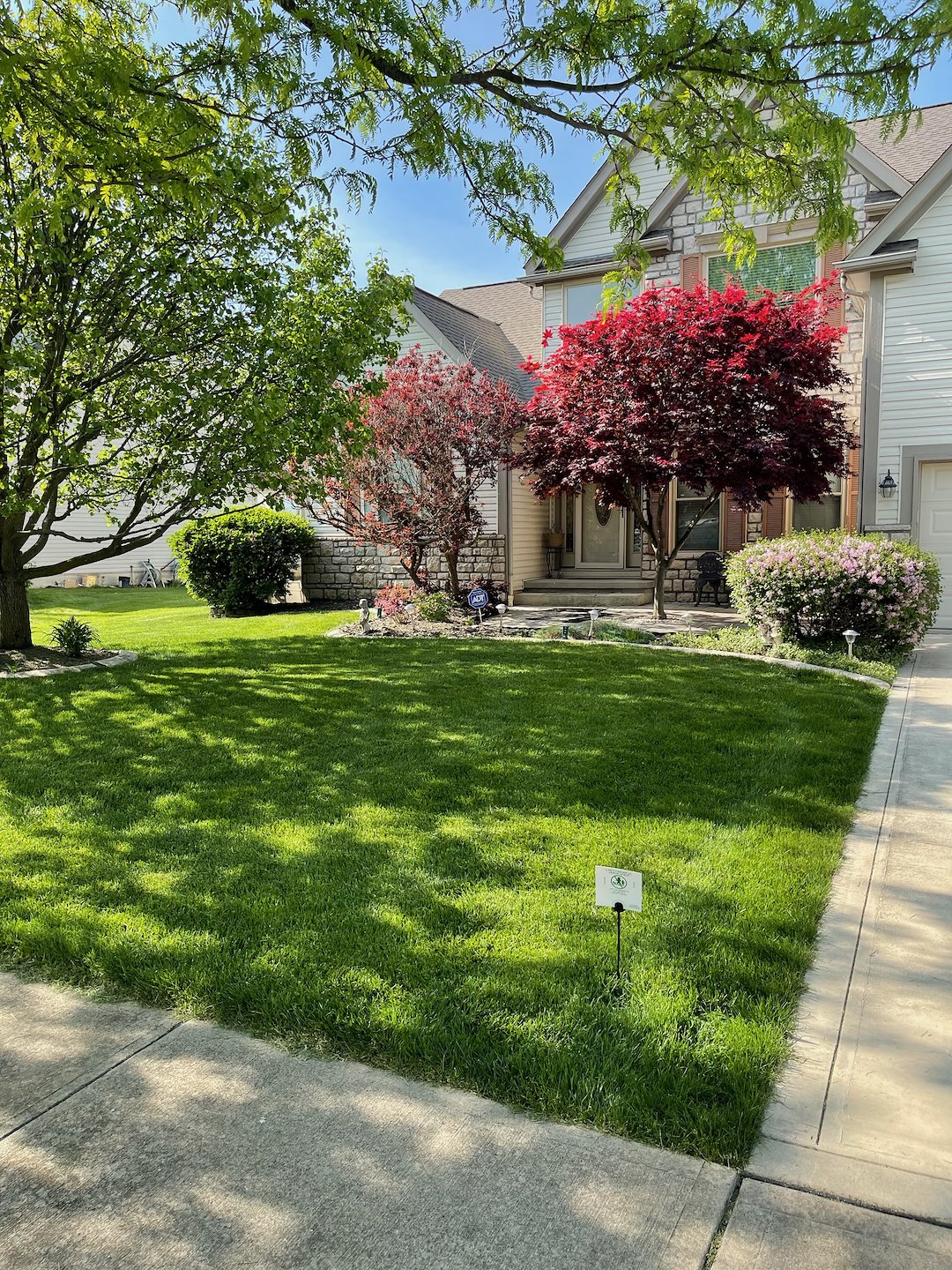 Lawn Improvement Project in Hilliard, Ohio: Helping a Former TruGreen Customer Restore Their Lawn Thumbnail